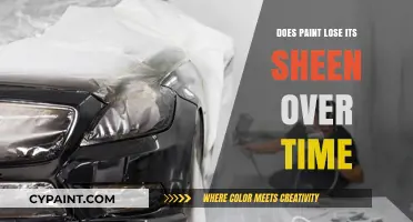 Does Paint Sheen Fade? Understanding Long-Term Gloss Retention and Wear
