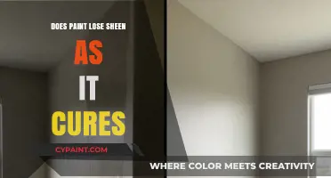 Does Paint Sheen Fade as It Cures? Uncovering the Truth