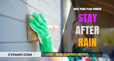 Does Paint Plus Primer Withstand Rain? A Durability Test