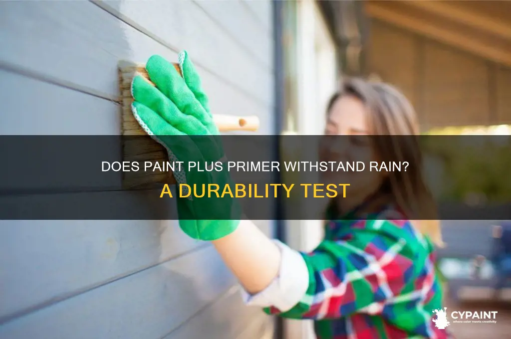 does paint plus primer stay after rain