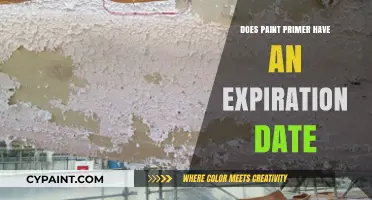 Does Paint Primer Expire? Shelf Life and Storage Tips Revealed
