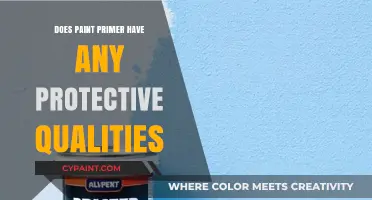 Does Paint Primer Protect Surfaces? Uncovering Its Hidden Benefits