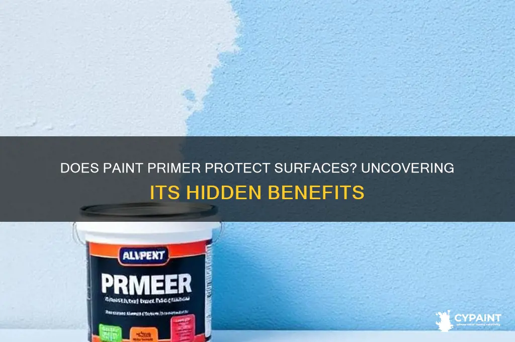 does paint primer have any protective qualities