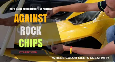 Paint Protection Film: Rock Chip Defense
