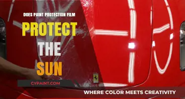 Does Paint Protection Film Shield Your Car from Sun Damage?
