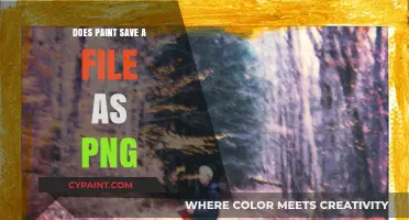 Does Paint Save Files as PNG? Understanding Default Export Formats