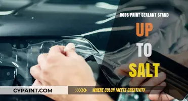 Paint Sealant Durability: Can It Withstand Salt Exposure?