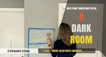 Paint Sheen: Dark Room's Secret Weapon