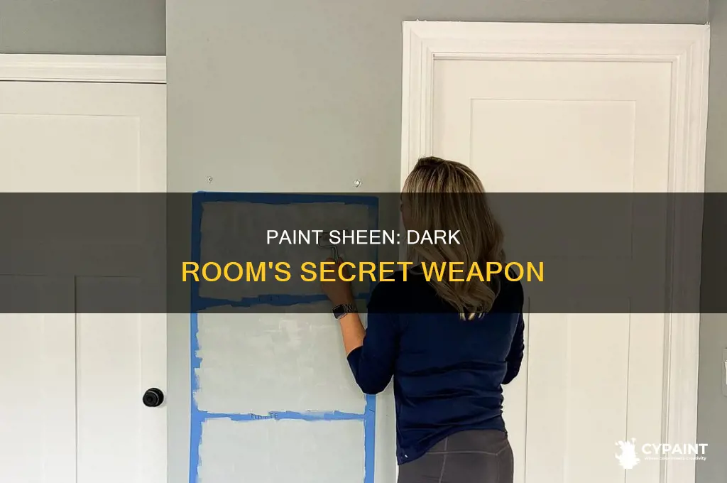 does paint sheen matter in a dark room