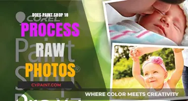 Can PaintShop Pro 18 Effectively Process Raw Photos? Find Out