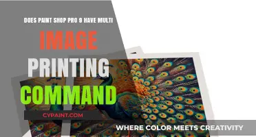 Paint Shop Pro 9: Multi-Image Printing Command Explained