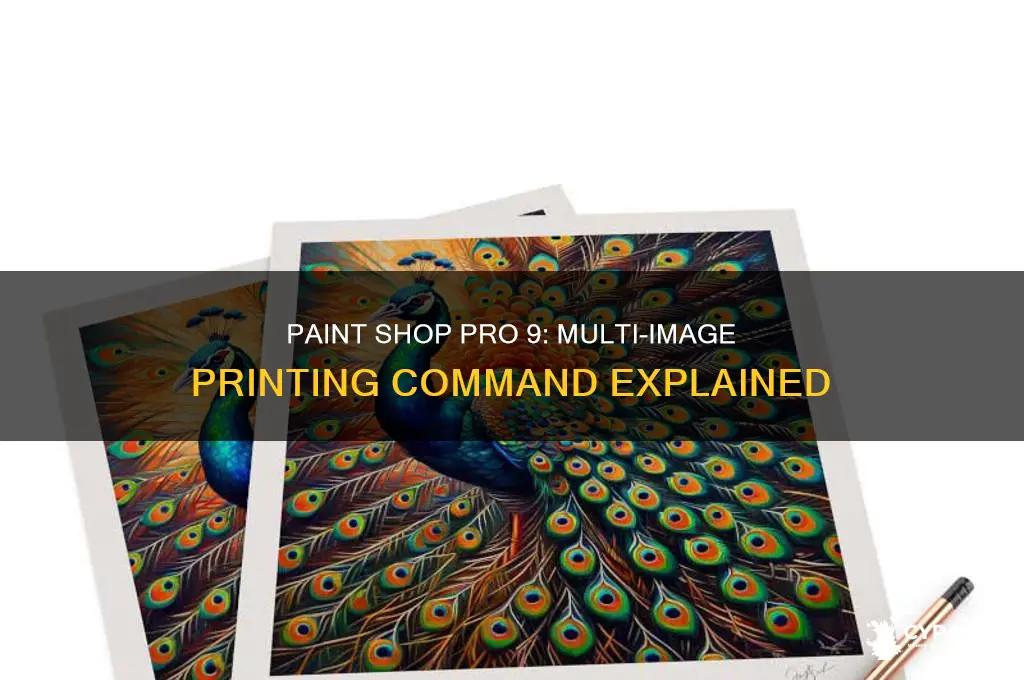 does paint shop pro 9 have multi image printing command