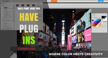 Exploring PaintShop Pro: Plug-Ins Availability and Functionality Revealed