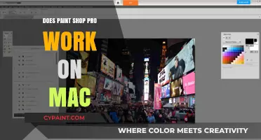 Can PaintShop Pro Run on Mac? Compatibility and Alternatives Explained