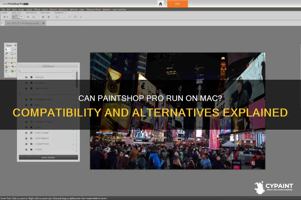 does paint shop pro work on mac