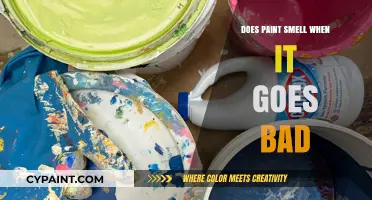 Does Paint Smell When It Goes Bad? Signs and Solutions