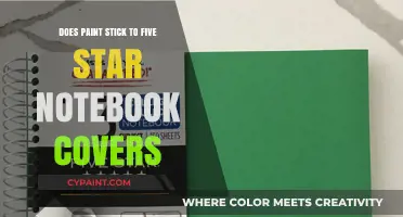 How to Paint Five Star Notebooks