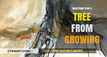 Can Paint Harm Trees? Understanding Growth and Protection Myths