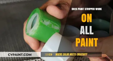 Does Paint Stripper Work on All Paint? A Comprehensive Guide