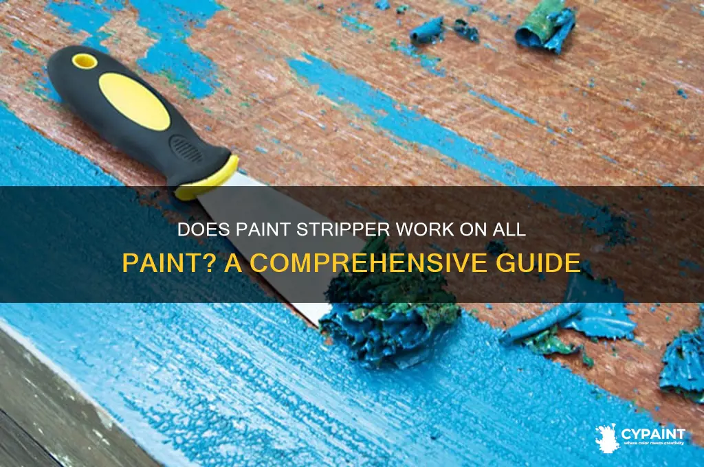 does paint stripper work on all paint
