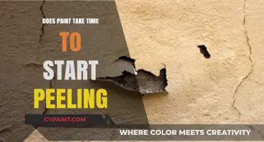 How Long Before Paint Starts Peeling? Factors and Prevention Tips