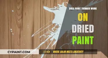 Can Paint Thinner Remove Dried Paint? Effective Tips and Techniques