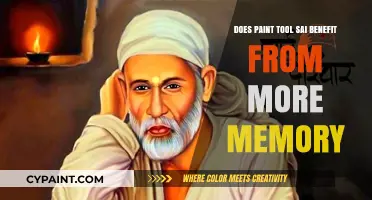 How Paint Tool SAI Performance Scales with Memory
