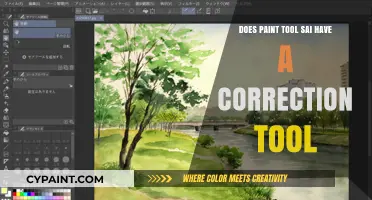 Paint Tool Sai: Is There an Easy Way to Correct Mistakes?
