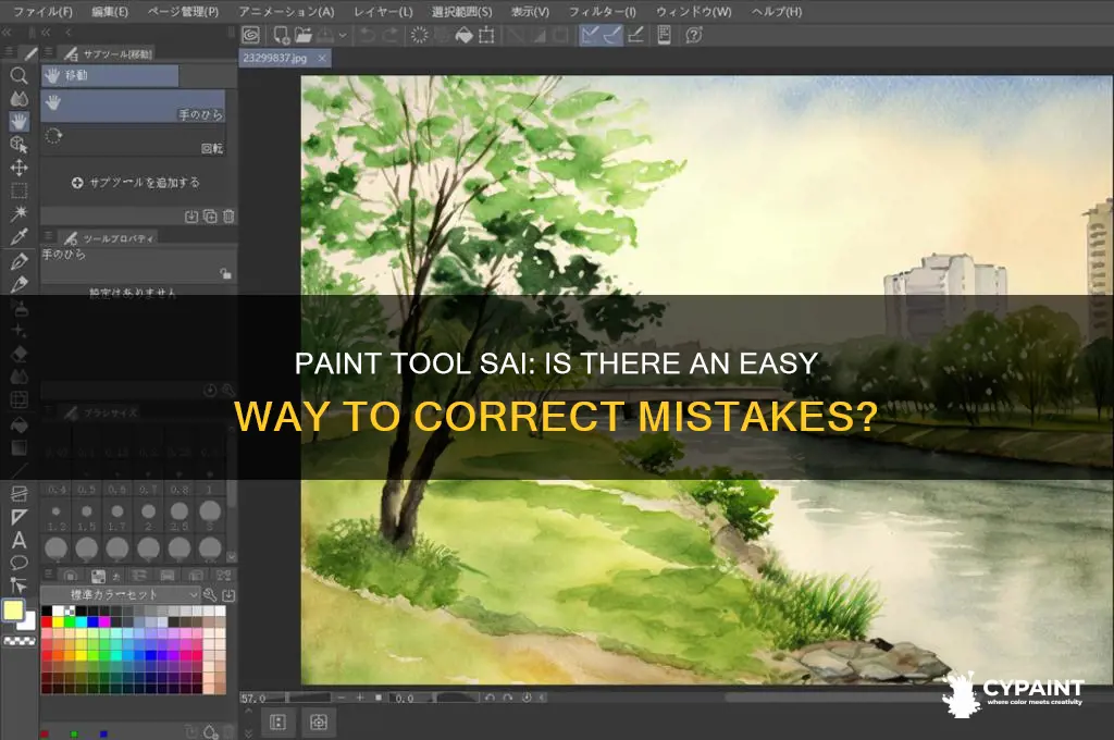 does paint tool sai have a correction tool