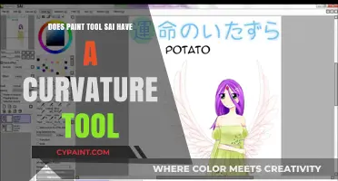 Paint Tool Sai: Curvature Tool Available?