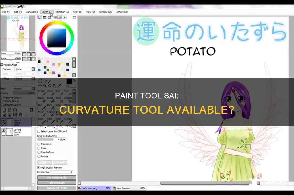 does paint tool sai have a curvature tool