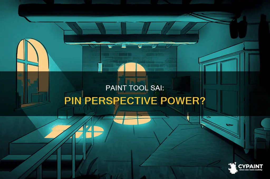 does paint tool sai have a pin perspective