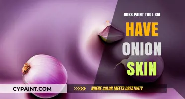 Does Paint Tool SAI Offer Onion Skin Feature for Animation?