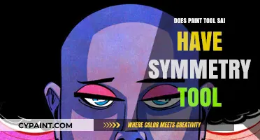 Does Paint Tool SAI Include a Symmetry Tool Feature?