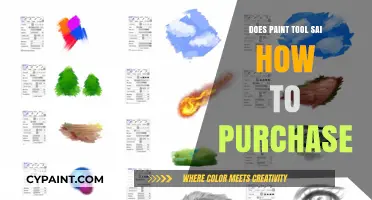 How to Purchase Paint Tool SAI: A Step-by-Step Guide