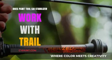 Paint Tool SAI: Stabilizer and Trail Features Explained
