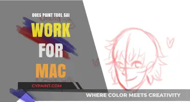 Can Paint Tool SAI Run on Mac? Compatibility Guide for Artists