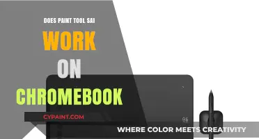 Can Paint Tool SAI Run on Chromebook? Compatibility Explained