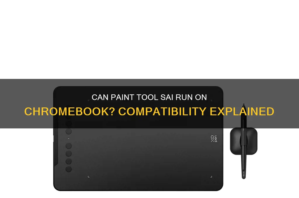 does paint tool sai work on chromebook