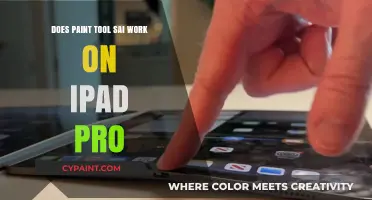 Paint Tool Sai: iPad Pro Compatibility