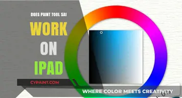Can You Use Paint Tool SAI on iPad? Compatibility Explained