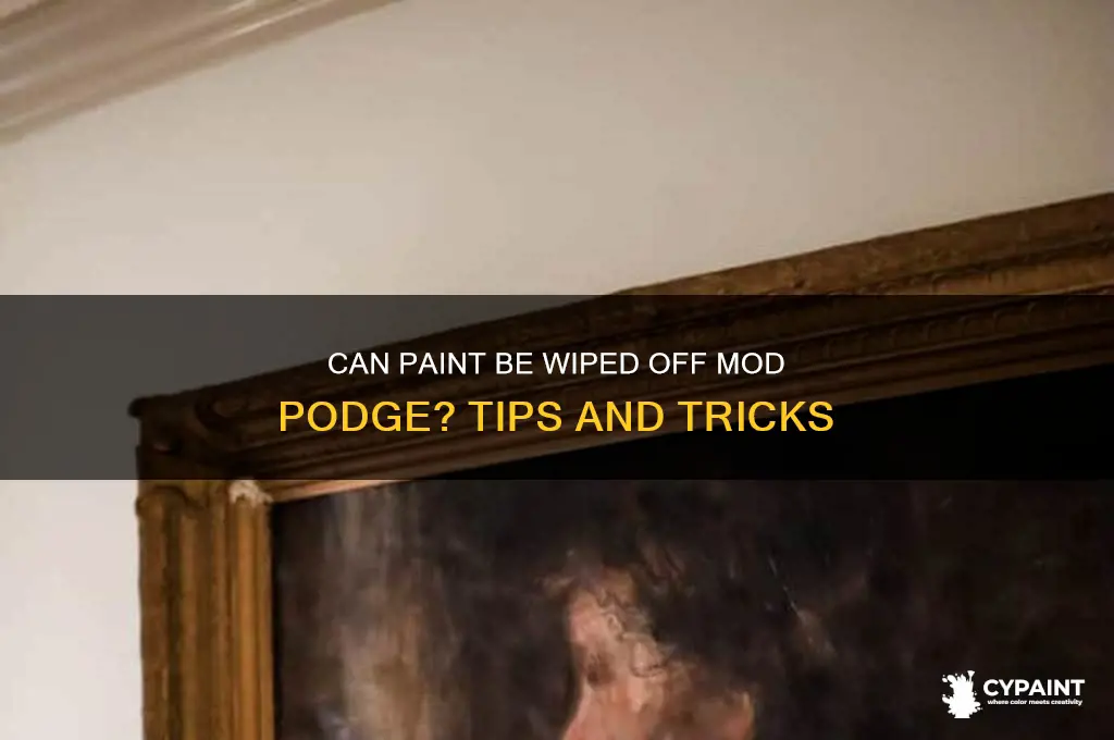 does paint wipe off of modge podge