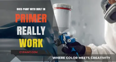 Primer-in-Paint: Does It Work?