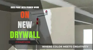 Primer-Paint for Drywall: Does It Work?