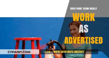 Paint Zoom Review: Does It Live Up to the Hype?