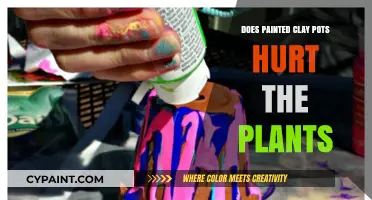 Painted Clay Pots: Are They Safe for Your Plants?