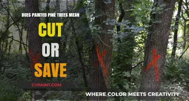Painted Pine Trees: Marked for Attention, What's Next?