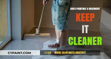 Painting Your Basement: A Cleaner, Fresher Space or Just Aesthetics?