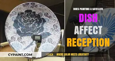 Does Painting Your Satellite Dish Impact Signal Reception?