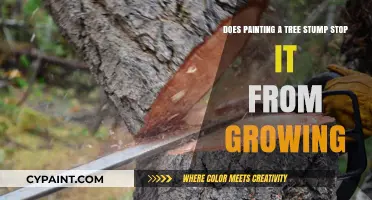 Tree Stumps: Can Paint Stop Regrowth?